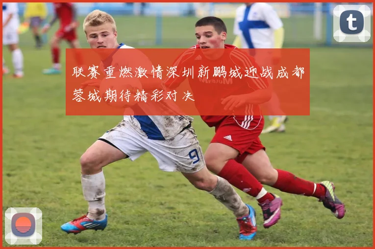 联赛重燃激情深圳新鹏城迎战成都蓉城期待精彩对决