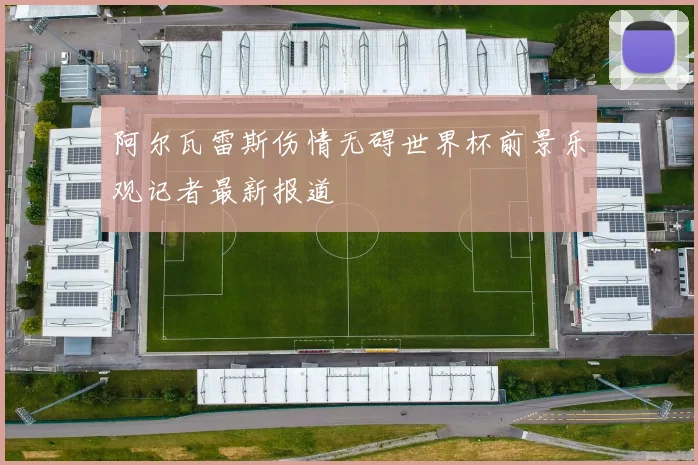 阿尔瓦雷斯伤情无碍世界杯前景乐观记者最新报道