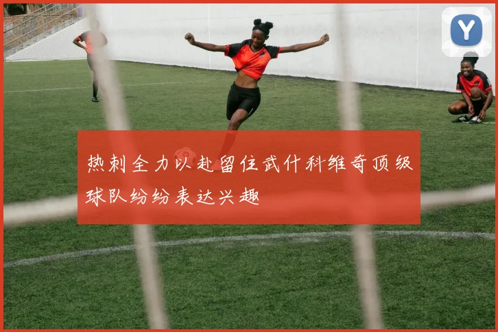 热刺全力以赴留住武什科维奇顶级球队纷纷表达兴趣